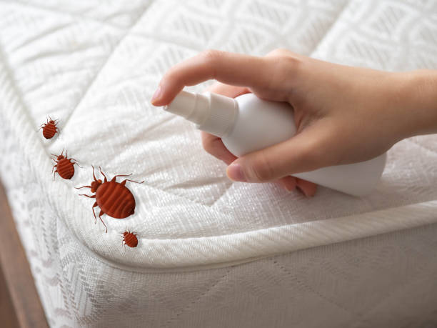 Best Cockroach Control  in Ogdensburg, NY